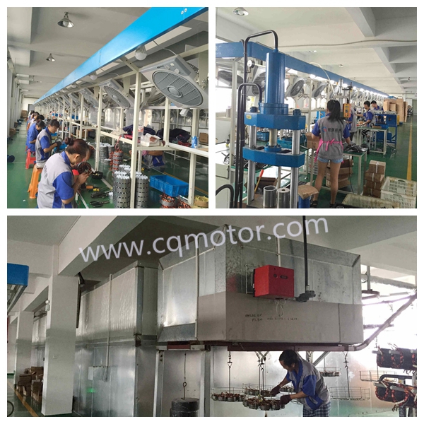 >800W Power and 48~60v Voltage 850w/1000w Electric Rickshaw Open Body Type motor kit