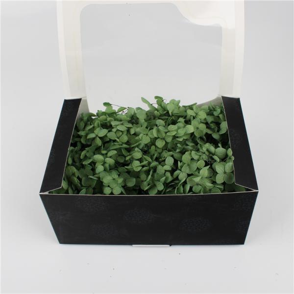 Decoration Preserved Pampas Grass , Creative Touch Flowers Gift