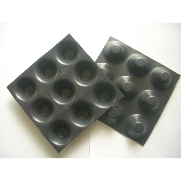 Modern Design Style Drainage HDPE Composite Drainage Board for Building and Construction