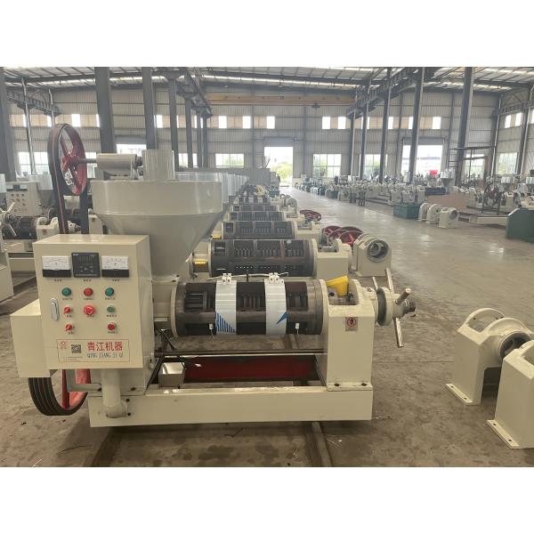 PROLIFIC YIELD 110Y MODEL GROUNDNUT SUNFLOWER OIL PRESSING MACHINE 20TPD