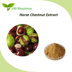 Buy cheap Natural Horse Chestnut Extract Aescin / Aesculus Hippocastanum Extract product