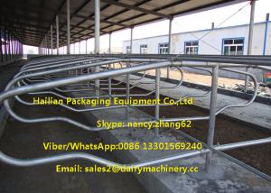 China Agriculture Farm Equipment Cattle Stalls Calf Free Stalls For Dairy Cows on sale