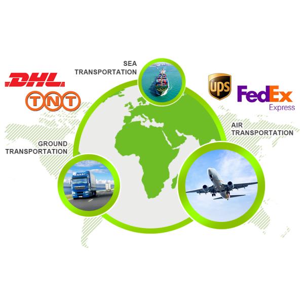 ABS Plastic Rayshine 500G Digital Food Scale with LCD Display Double Head Battery Kitchen Spoon Set