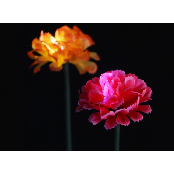 LED Simulation Carnation Lights Park Lawn, Beautiful Display, Decorative Lighting Festival