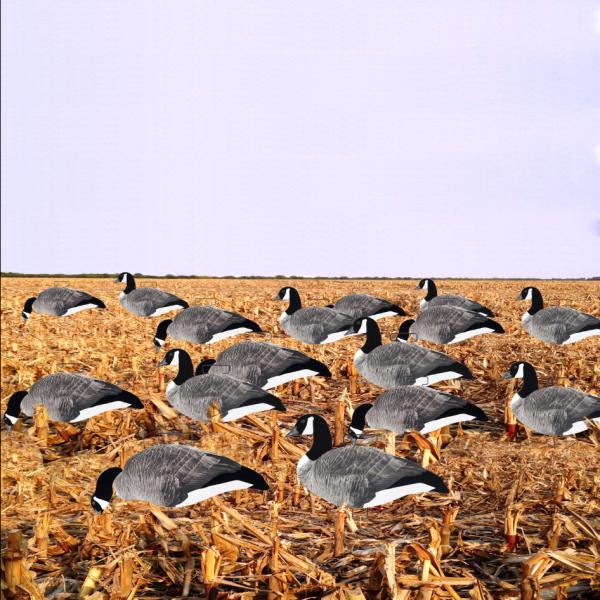 Custom Plastic PP Lifelike goose silhouette decoys Anti Reflective canada goose decoys