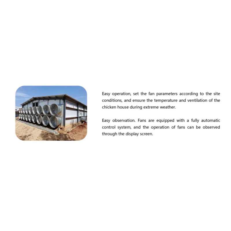 Economical Prefabricated Steel Structure Broiler Equipment with Automatic Feeding System and Corrosion Resistant Design