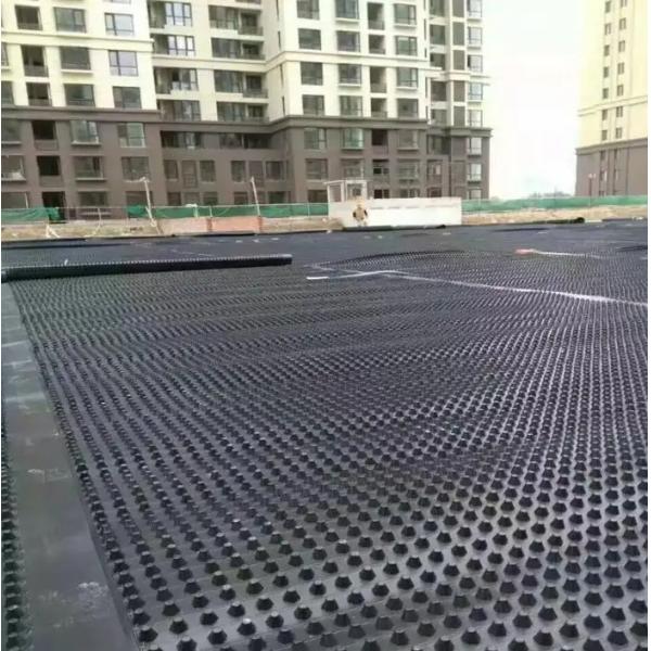 Modern Design Style Drainage HDPE Composite Drainage Board for Building and Construction