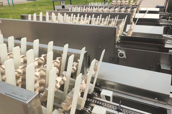 30,000 Eggs/hour LED Candling Electronic Egg Grading Sorting Machine