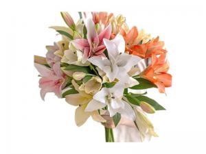 China OEM Artificial PU Silk Calla Lily Flowers White Pink on sale