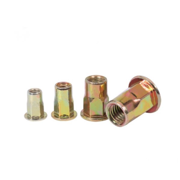 Flat Head Inner Hex Body Rivet Nut Stainless Steel Rivnuts Hexagonal Design