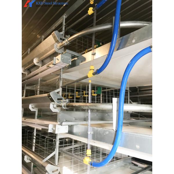 Steel Chicken Layer Cages A Type H Type Automated Battery Cage