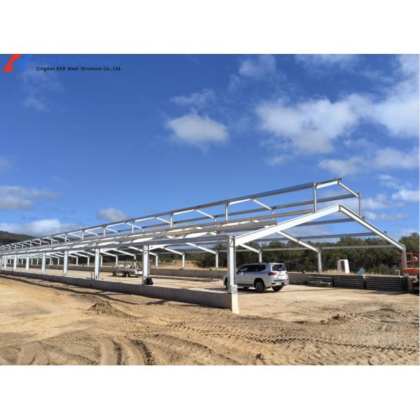 Large Poultry Farm Building Structure Customized Steel Chicken Shed