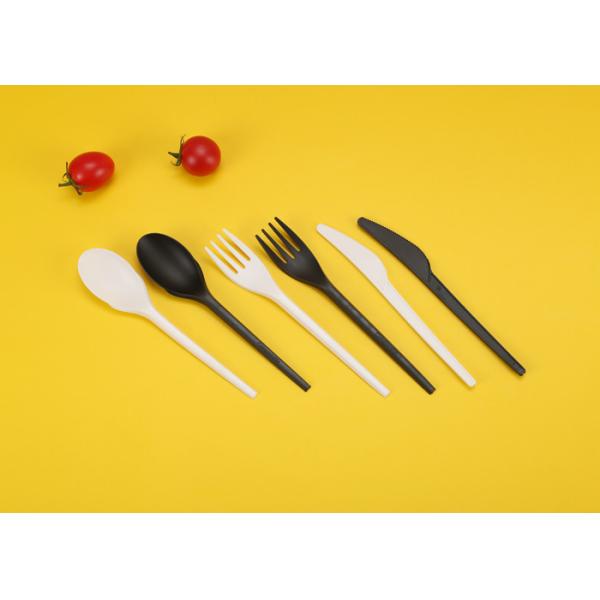 Compostable Biodegradable Disposable PLA Cutlery Set