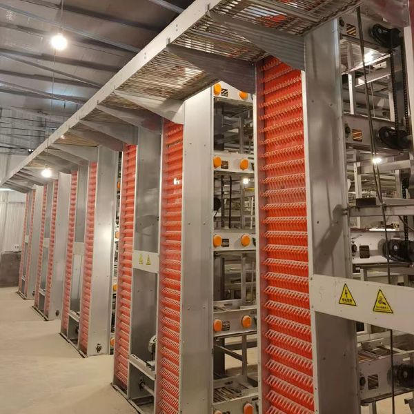 H Type Automatic System Chicken Cage layer Poultry Farming Equipment