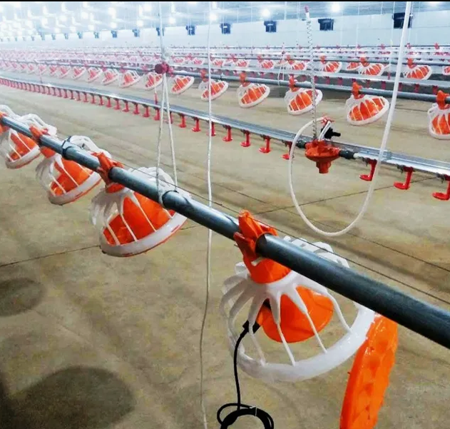 Durable High-Strength Plastic Slat Flooring with Corrosion-Resistant and Anti-Slip Surface for Chicken Coop
