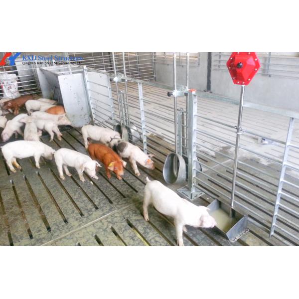 Modern Piggery House Steel Structure Metal Cattle Shed Customized Dimension