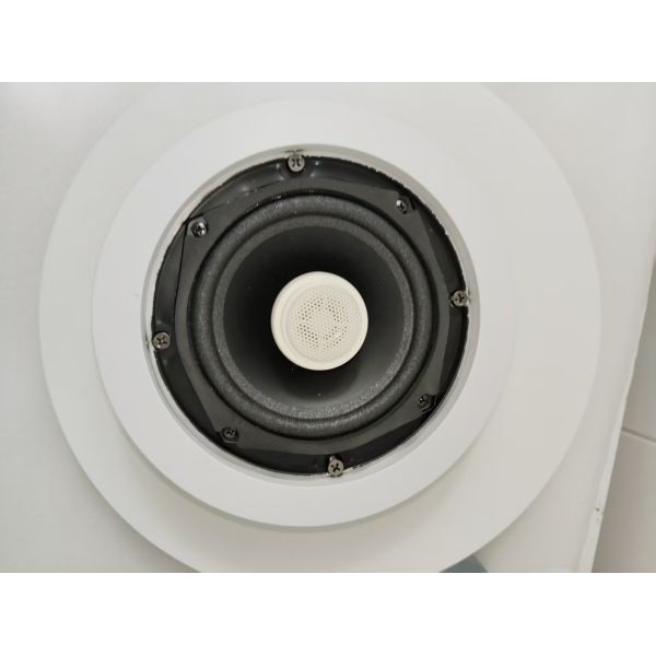 5 Inch Coaxial Speaker 20W Economic Ceiling Speaker Flush Mount