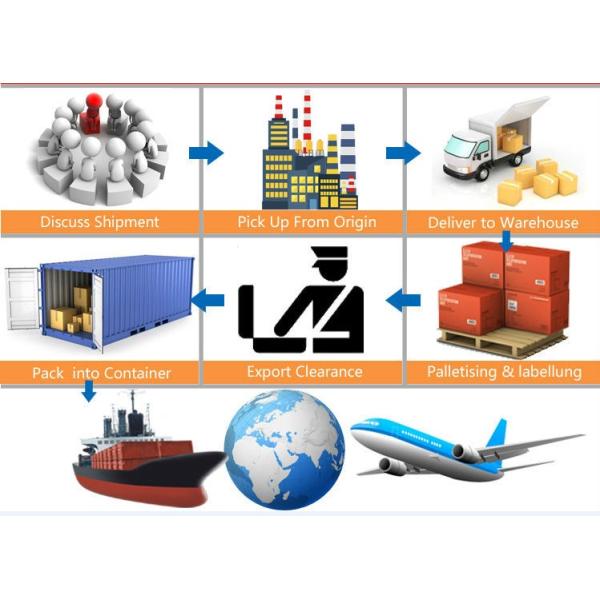 MSC Carrier 40HQ Sea Freight Shipping To Greece Professional Tracking