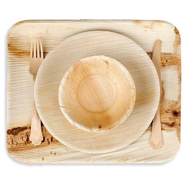 9x6" Compostable Palm Leaf Disposable Plates , Rectangle Biodegradable Leaf Plates