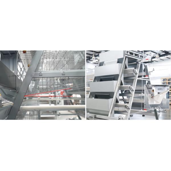 Modern Steel Poultry House Chicken Egg Collection System For Laying Hen