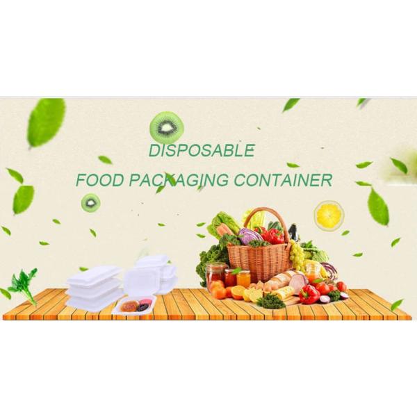 3 Compartments PP 3L Disposable Food Container 1mm Thickness