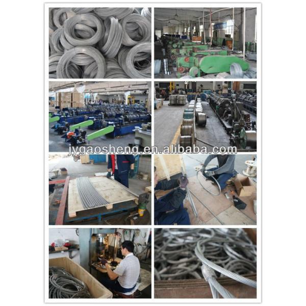 Nylon Coated Steel Cable Assembly with Snap Hook