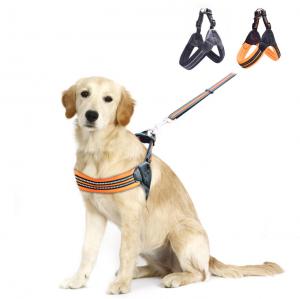 Buy cheap Ready To Ship: Pets Leashes Sets Various Size Breathable  Nylon Leather Dog Collars XS-S-M-L Dog Leash product