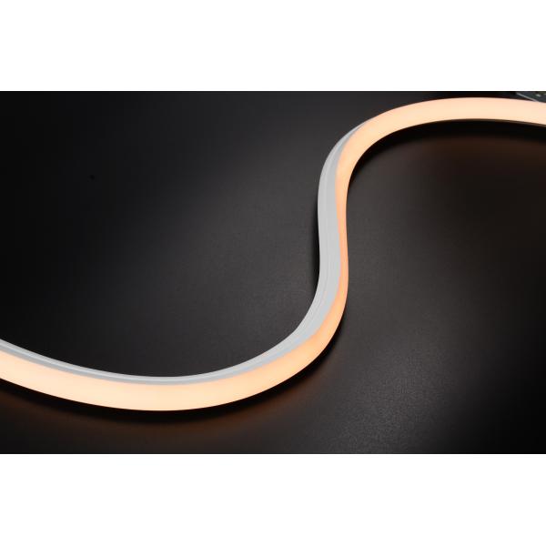 LEDCORP® 3D Neon Flex The Ultimate Choice for Any Project