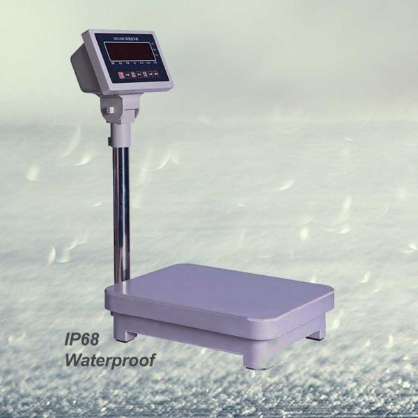 IP68 Design Platform Weighing Scale Size 300mm*400mm, LED Display Waterproof Scales