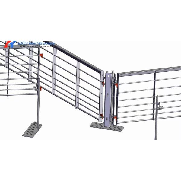 Steel Frame Piggery Shed Construction Long Span Steel Poultry Buildings