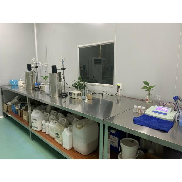 Disposable Latex Exam Gloves white color ASTM D6319 Standard