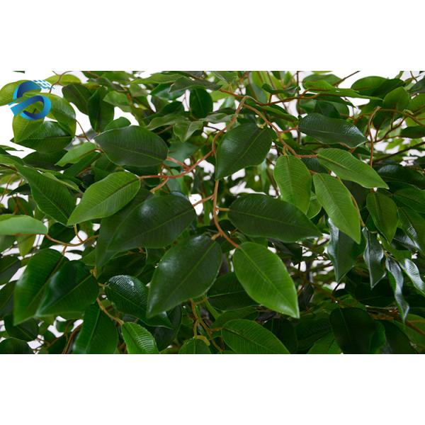 Three Dimensional Artificial Tree Ficus Lively Shape GSFT16 OEM / ODM