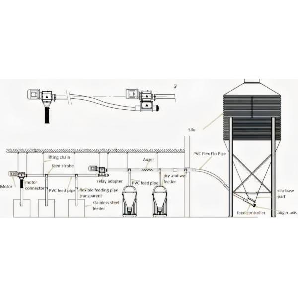 Custom Piggery Shed Light Steel Structure Cow Shed With Automatic Euipment