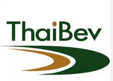 High Speed Fully Automatic Carbonated Beverage Single Column Palletizer For Coca-Cola Production Line With Marshaling Station Before Palletizing