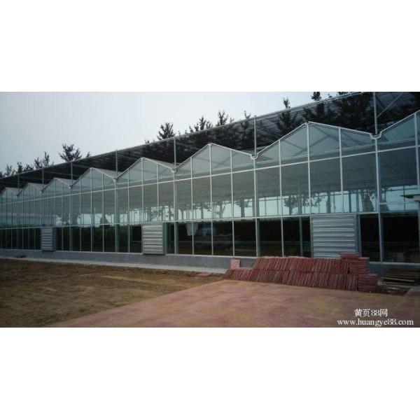 Exquisite Aluminum Frame Glass Greenhouse Gutter Height 3.0m-6.0m Easy Assemble