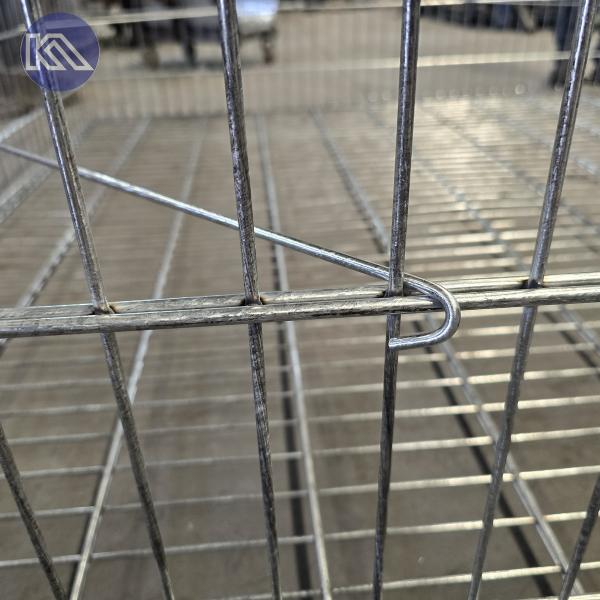 Hot Dipped Gabion Wall Planter