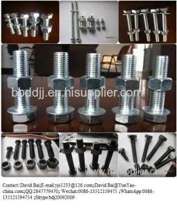 Buy cheap Drywall screws/ F brad nail /Yard Nail/BOLT/screw/nut product