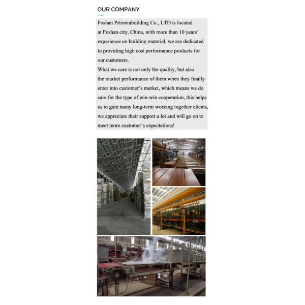 400x800mm Gold Line Porcelain Floor Tile 9.5mm AAA Grade