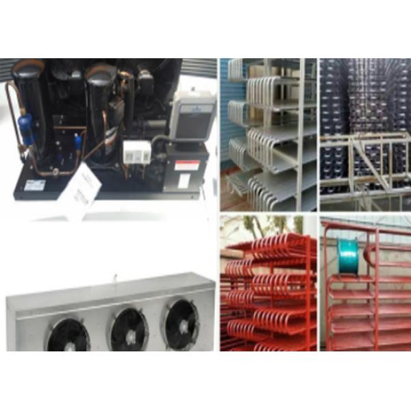 Customized Walk In Modular Freezer Room With Bitzer Refrigeration Unit