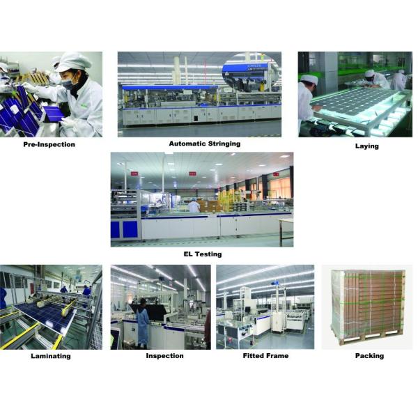 310W Poly PV Solar Panel for Solar Power System