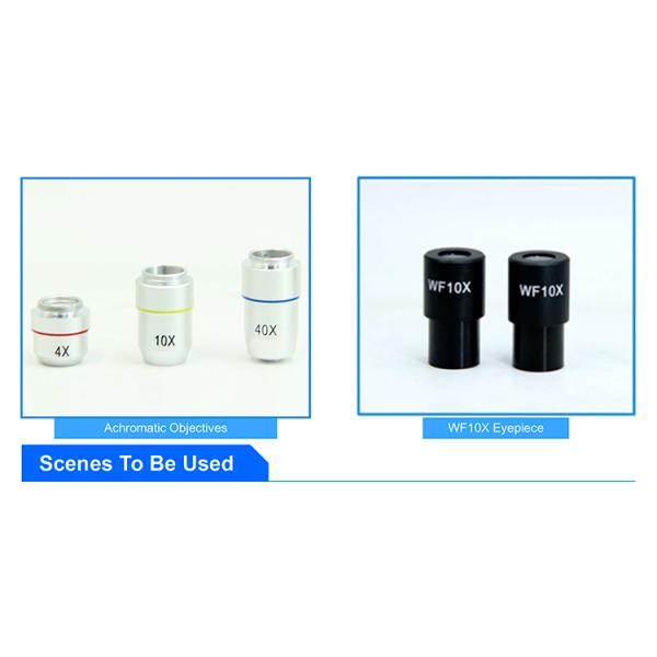 OPTO-EDU 400x Electron Optical Led Binocular Biological Microscope