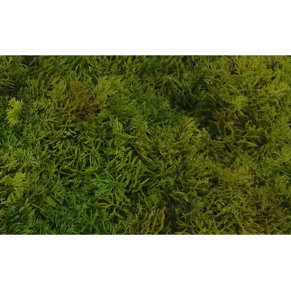 Anti UV 25X50CM Artificial Grass Moss For Garden Decoration