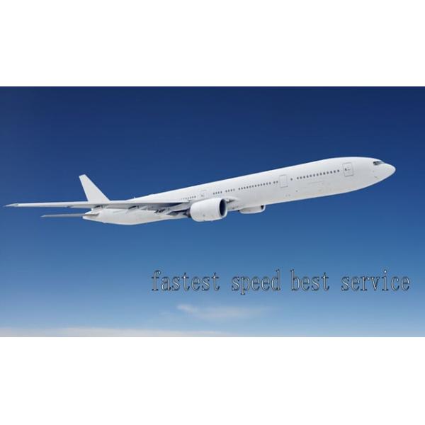 Consolidation Shipment Service & Warehouse Service