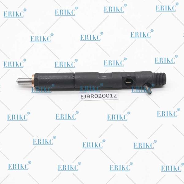 EJBR02001Z Diesel Fuel Injector EJB R02001Z Common Rail Injector EJBR0 2001Z For Delp