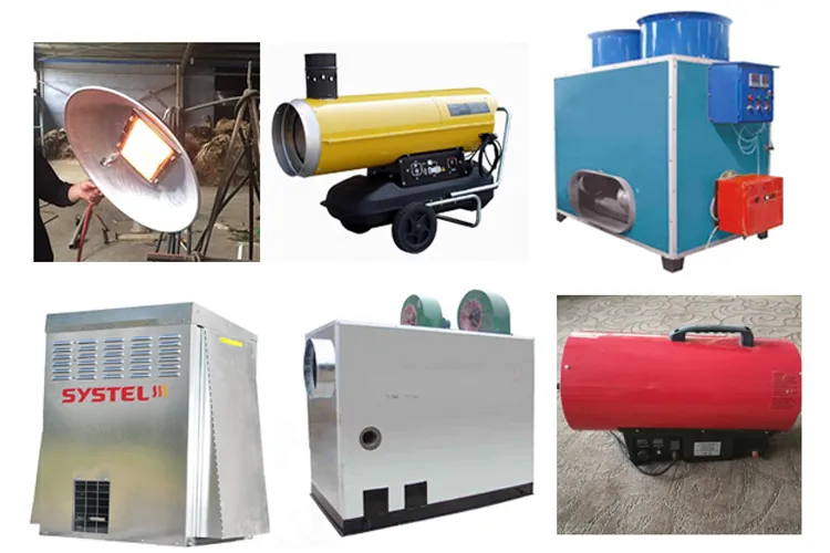 Full Automatic Hot-dip Galvanized Poultry Farm Feeding Equipment Customizable for Broiler Chicken Houses