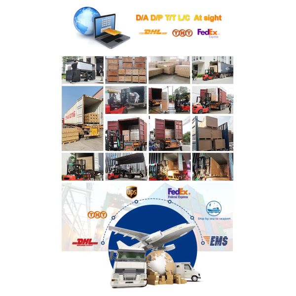 KECAI 12 Inch A3 Brand New Model DTF Printer XP600 With Powder Shaking Machine Integrated Full-Automatic Textile Apparel T-shirt