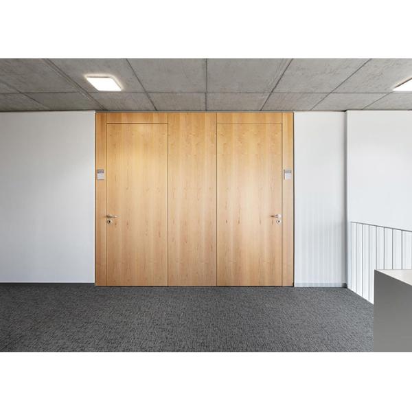 Cutsomized Solid Glass Partition Wall System Steel Melamine HPL With Door