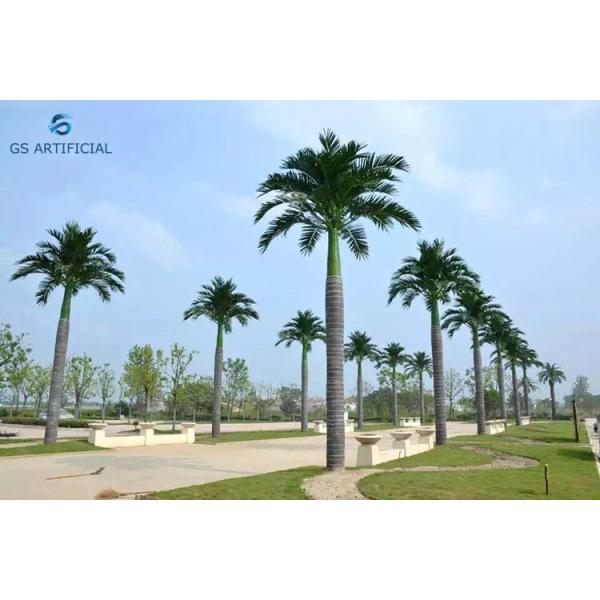 Dustproof Roadside Decorative Palm Trees Greening Environment No Watering