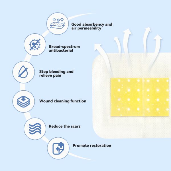 Chitosan Wound Care Dressing Single Use Protective Patch For Minor Trauma Burn