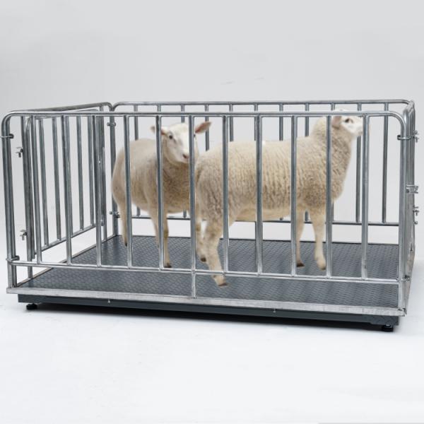 Customized OBM Support Digital Livestock Scale for Sheep Cattle Poultry Farm 2000KG Weight Limit Fence and Panel Included